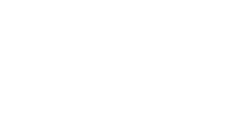 Baird Sound Systems transparent logo